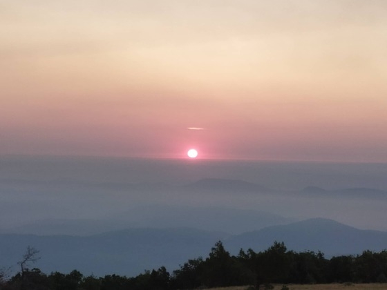 Για 7η ημέρα στην "μάχη" με τις φλόγες για να σωθεί το παρθένο πευκοδάσος